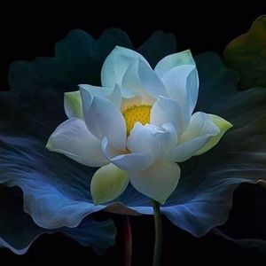 Meet your Posher, Moon